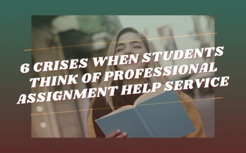 6 Crises When Students Think of Professional Assignment Help Service