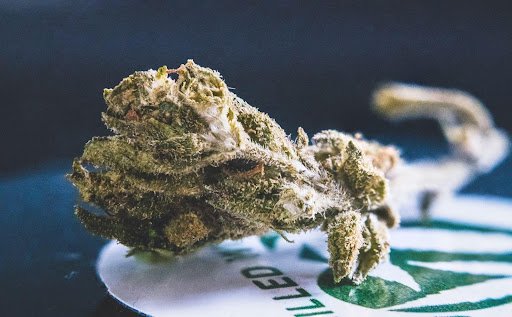 How to Make the Most of Your Cannabis Strain?